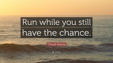 7728070-Chuck-Norris-Quote-Run-while-you-still-have-the-chance.jpg