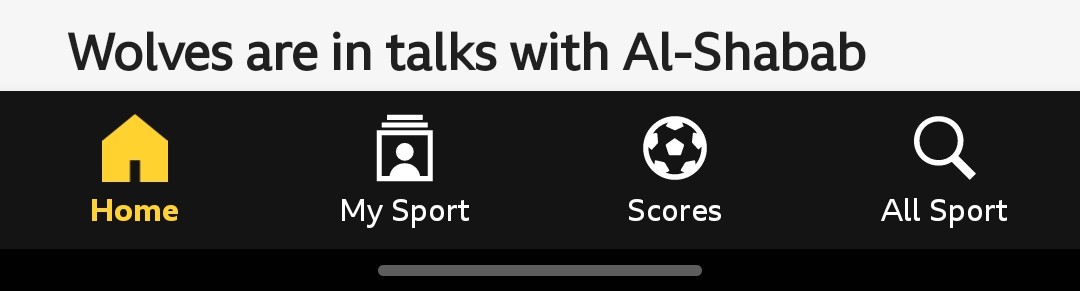 Screenshot_20241215_154650_BBC Sport~2.jpg